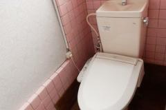 559850393_640x640_444444